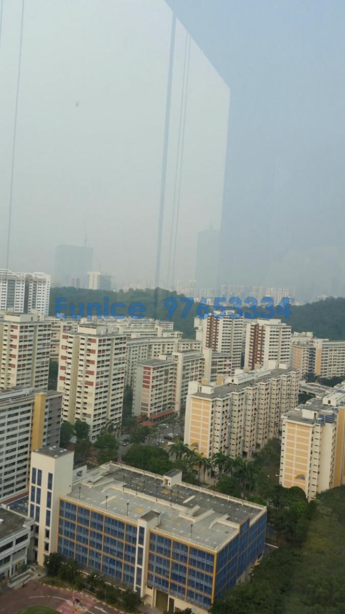 Skyline Residences (D4), Condominium #91075742
